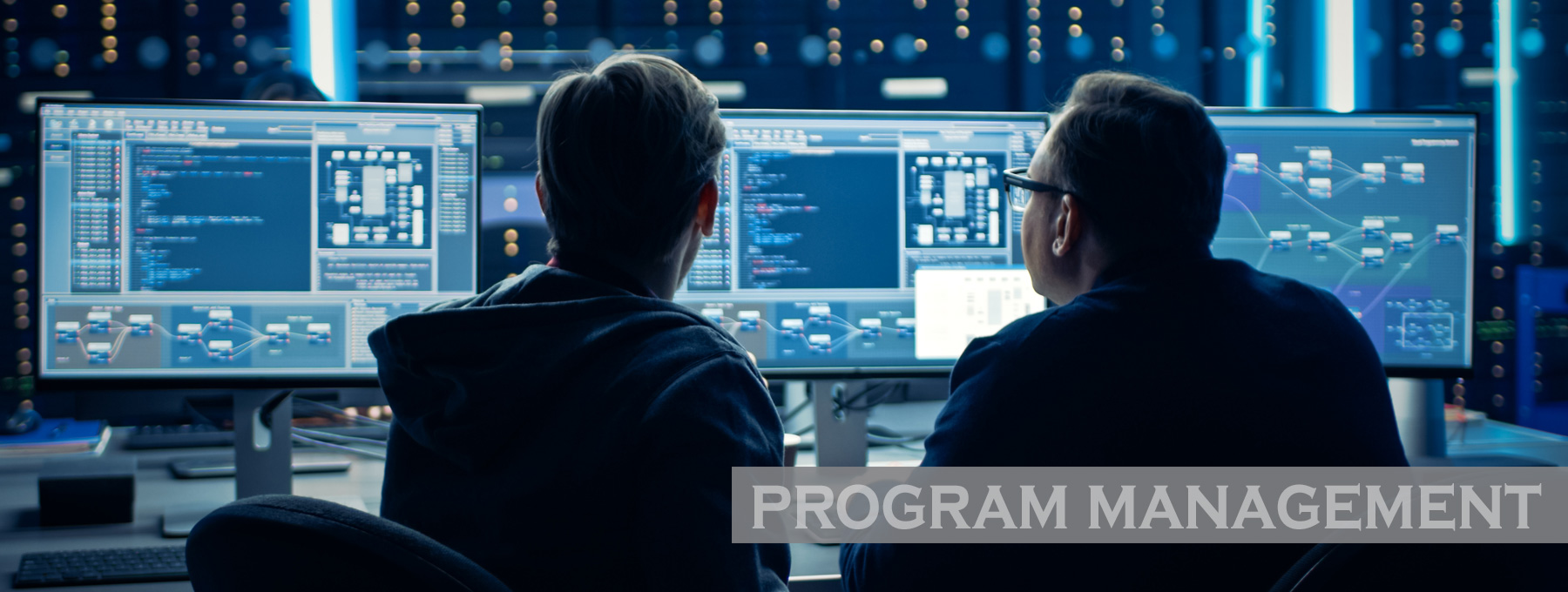 Stonehaven Technologies Inc. Program Management Capabilities.