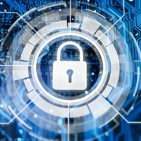 Stonehaven Technologies, Inc. Cyber Security Capabilities link.