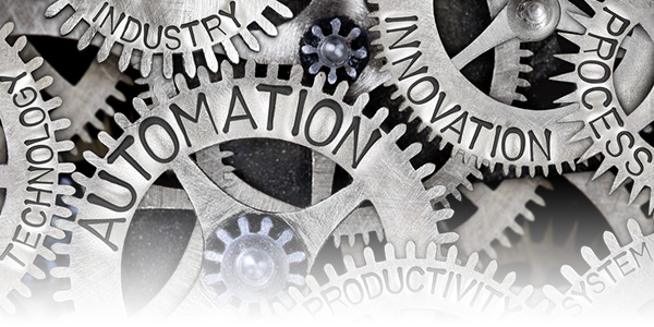 Stonehaven Technologies Inc. Program Management Capabilities.